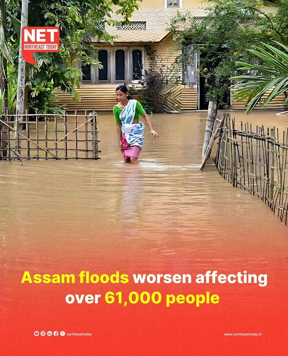 NortheastToday's tweet photo. #Assam | The flood situation in Assam has deteriorated, with 61,679 people affected across four districts, according to the Assam State Disaster Management Authority (ASDMA).
Read more..
https://t.co/G3ZmIa5eX4
#Assamflood #FloodCrisis #lifeaffected #WeathrtCrisis #ASDMA #NetSnippet #NortheastToday
