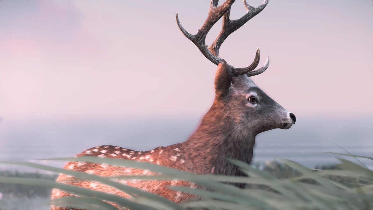 Oh deer

#GhostofTsushima #PS5 

#VirtualPhotography #VGPUnite #AnimalMonday