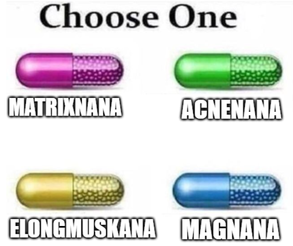 The Banana Nation tweet media