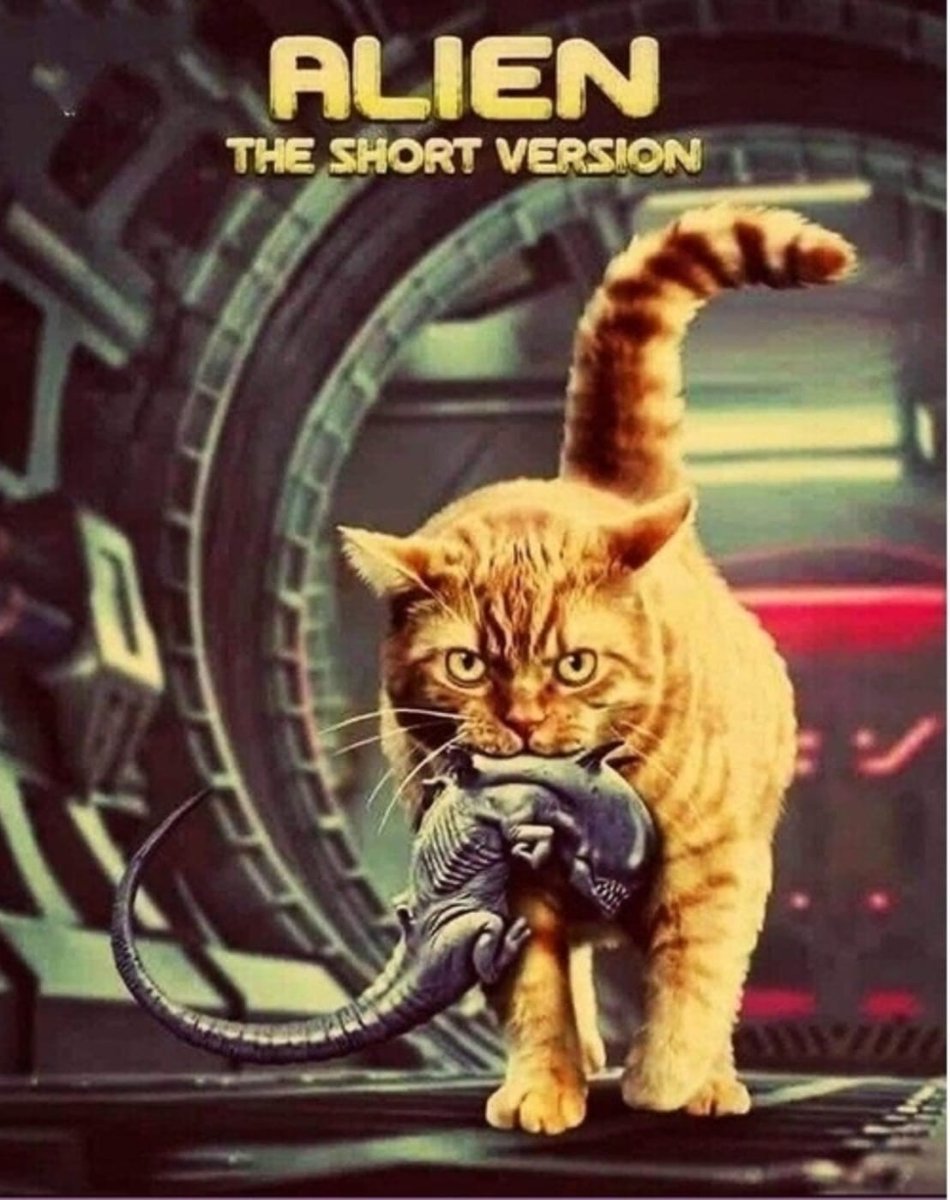 Noviembre Nocturno tweet media