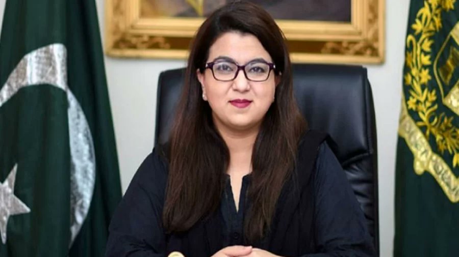 ভিপিএন ব্যবহারে কমেছে ইন্টারনেটের গতি, দাবি পাক প্রতিমন্ত্রীর