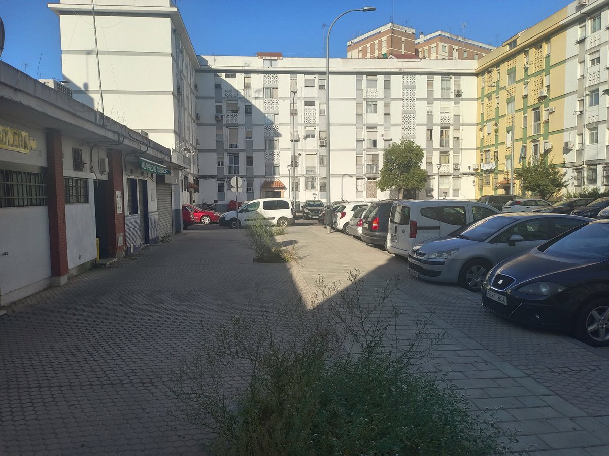 salvatusarboles's tweet photo. Plazuela en el Polígono San Pablo.

Nueve de la mañana.

30°.

Seis alcorques vacíos. https://t.co/JByIhGDxct