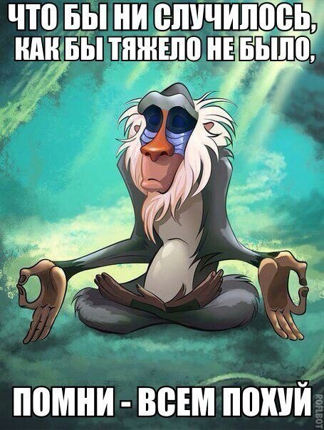 Золотое правило!🫠