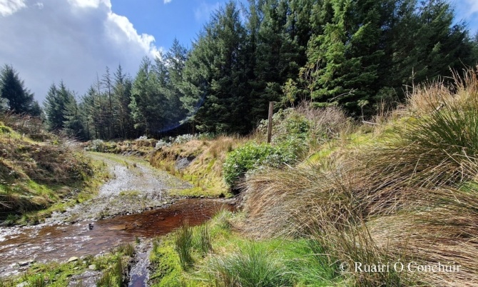 Really looking forward to delivering this free #HeritageWeek event tomorrow:

Forestry &amp; Water Quality: The Physical &amp; Cultural Connections

with the Assoc. of Irish Forestry Consultants &amp; local forestry owners.

It will include a classroom &amp; field trips in the Upper Inagh River.
