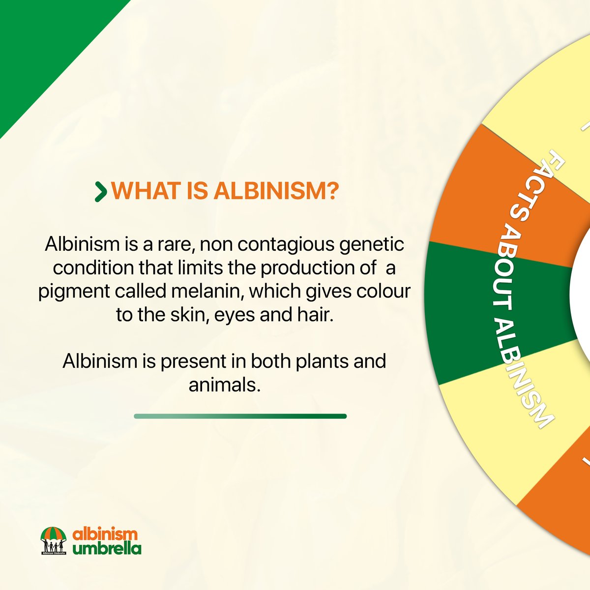 albinismumbrell's tweet photo. Albinism is not superstition!
Albinism is not witchcraft!
Albinism is not magic!
ALBINISM IS BEING HUMAN!
#ActionForAlbinism https://t.co/1G0VctpiXd