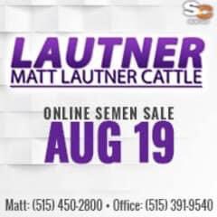 mattlautner's tweet photo. Fall Breeding Semen Sale Today On SC @ Matt Lautner Cattle
Click Sale Link:
https://t.co/5z2avp7qos
#SalePromotion
Today We Are Highlighting Western States Success From Calf Purchases At Matt Lautner Cattle By Western States Show Families
#PastureOpen
Pasture Opens Friday August 30, 2024 Thru Sale Day
#Address
1941 330th Ave
Lorimor, Iowa 50149
Sale Contacts:
Matt Lautner: 515.450.2800
Michelle Lautner: 515.391.9540
