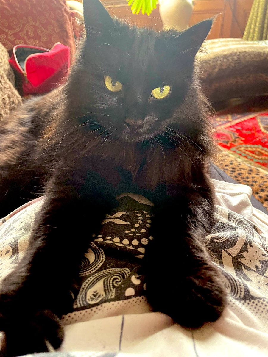 Josie Lawrence tweet media