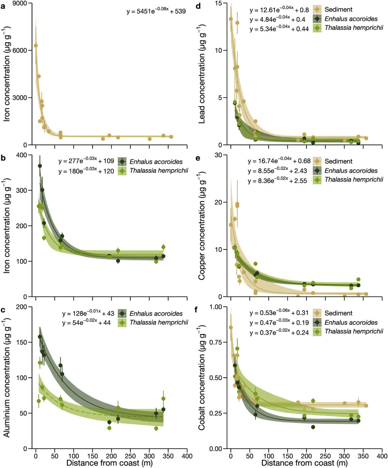 Happy to share my first paper!

Featuring the first spatial quantification of #metalpollution in a tropical seagrass meadow and showing how metal concentrations differ between two #seagrass species 🌱

sciencedirect.com/science/articl…