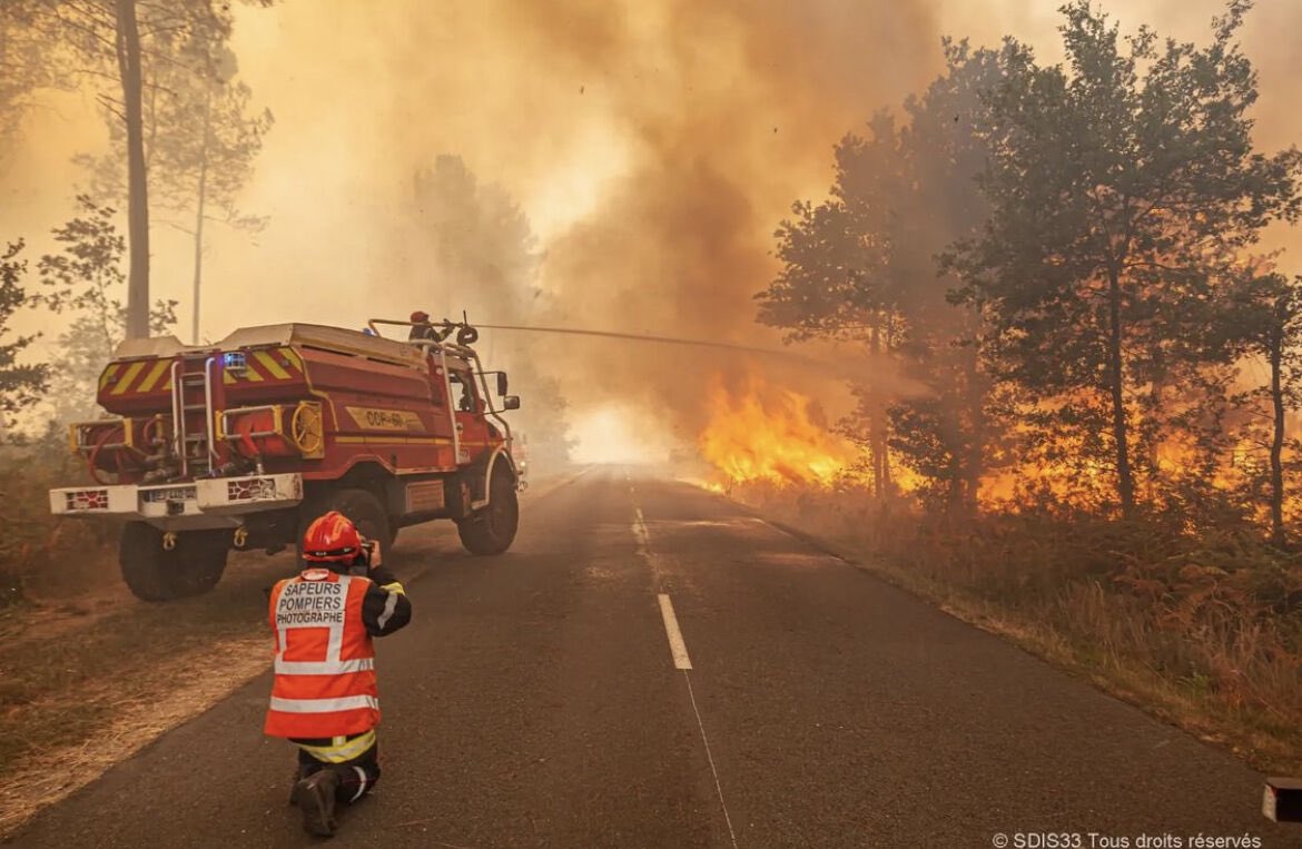 Bianca Habing tweet media