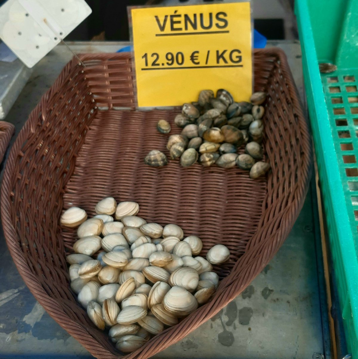 ericchapelle2's tweet photo. Vénus sortant des eaux des temps modernes
#GeoCosmos https://t.co/XVzzbROXjv