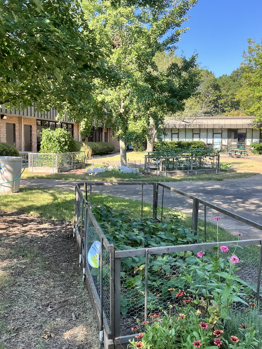 Farmington Woods tweet media