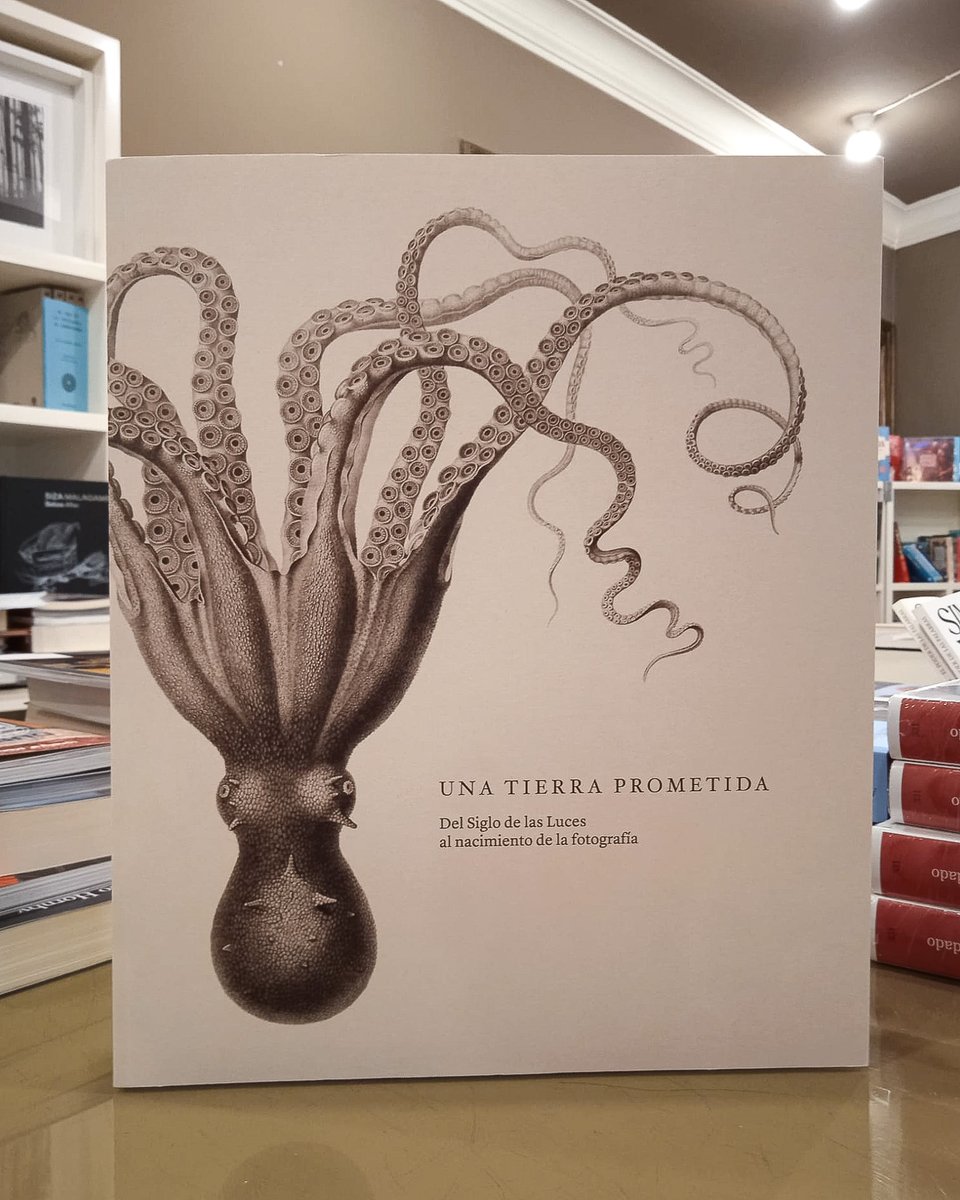 Librería Formatos tweet media