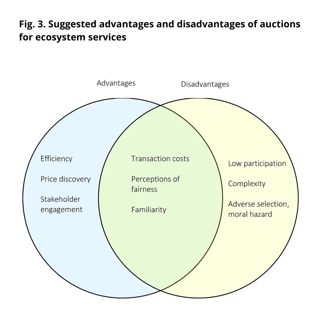 CEF - Centro de Estudos Florestais tweet media