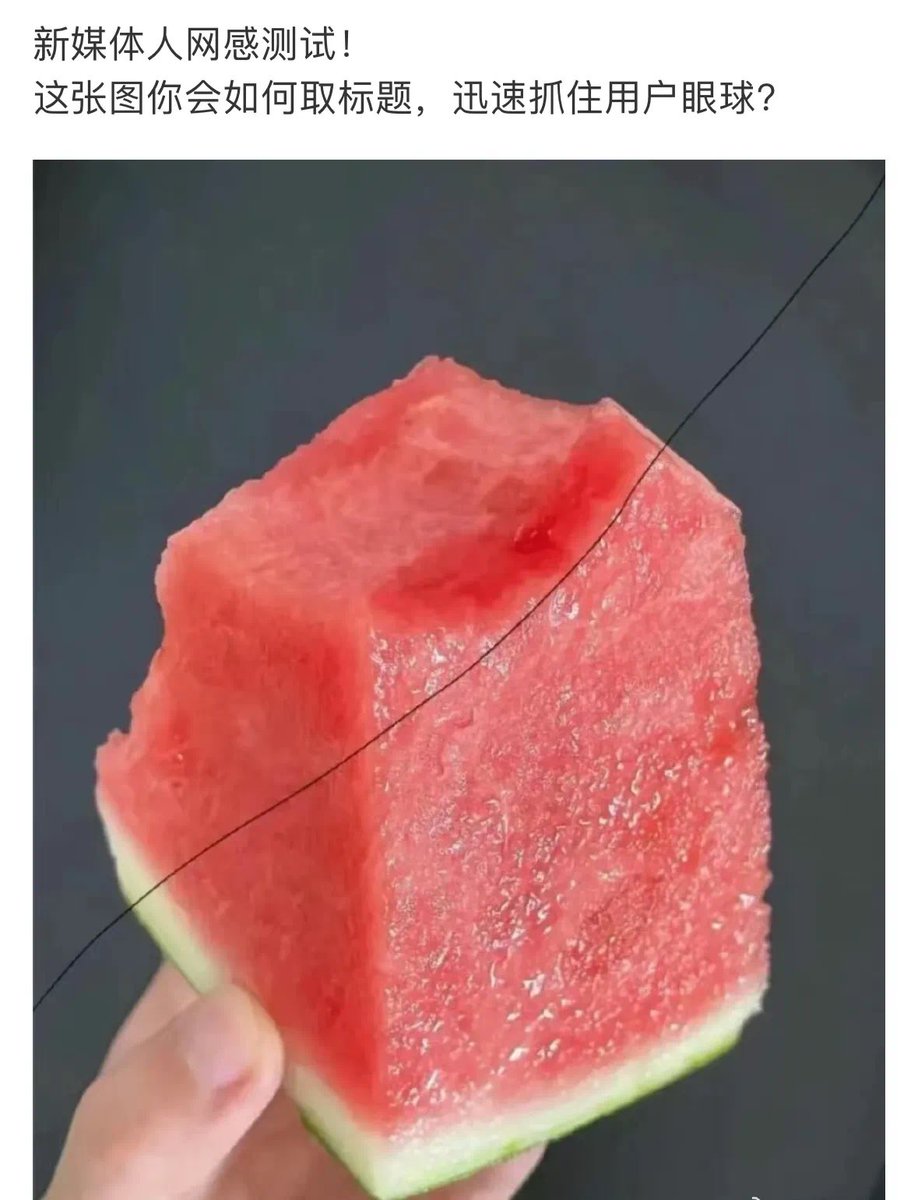 皮皮鲁 (@baggio_xu) on Twitter photo 