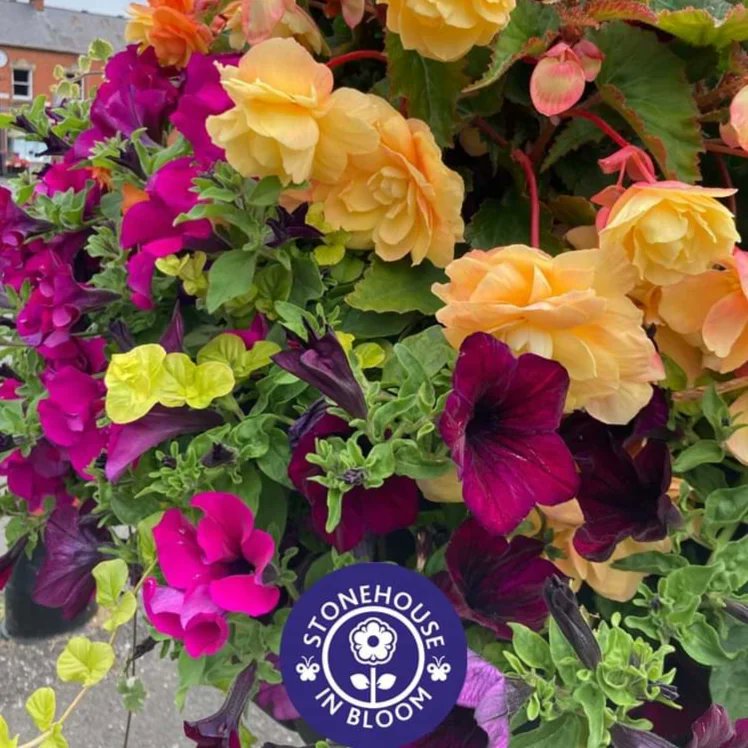StonehouseCanal's tweet photo. We are delighted that @StonehouseBloom, Britain in Bloom Finalists 2024 and Gold Award Winners, will be at the Stonehouse Canal Festival 2024 with a stall. They are funded mainly by donations, their own fundraising and various grants. 

#StonehouseCanalFestival2024 https://t.co/8ToJ4hQtCi