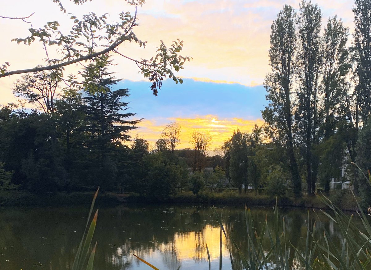 thierry_hulin's tweet photo. Parc du Cardinal, dimanche 18 août
Ciel aux couleurs de #Ukraine 🇺🇦 🤩
@villederueil , à faire suivre à notre ville jumelle de Tchernivtsi 😊 https://t.co/8Z7wLMeE99