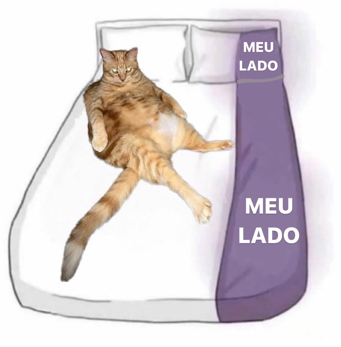 gatos fazendo gatices (@gatinarios) on Twitter photo 