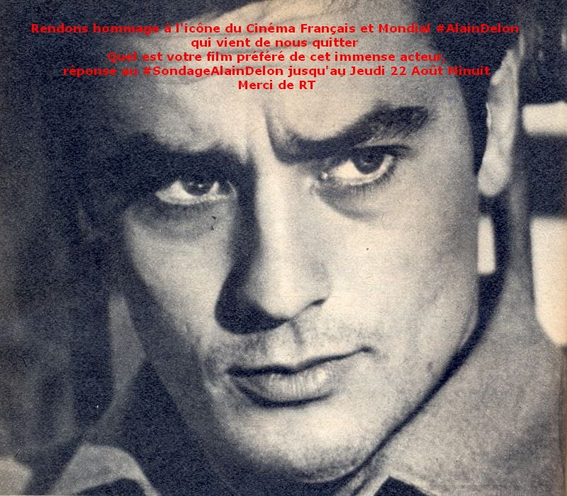 Merlin Philippe tweet media