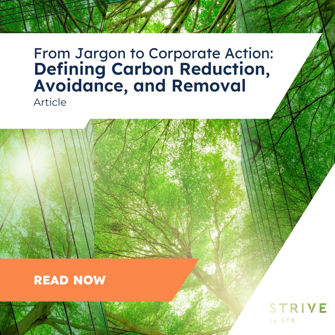 Read our latest blog to explore the key components of a carbon strategy and see how integrating high-quality #carbon #credits can strengthen your overall #sustainability efforts. 
eu1.hubs.ly/H0bDLwg0