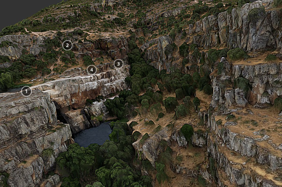 Universidad de Jaén tweet media