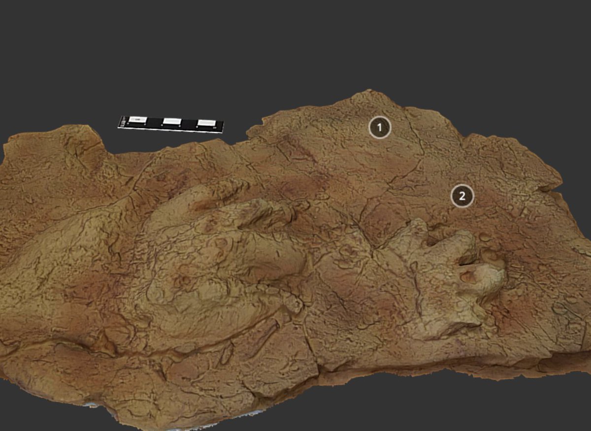 Universidad de Jaén tweet media