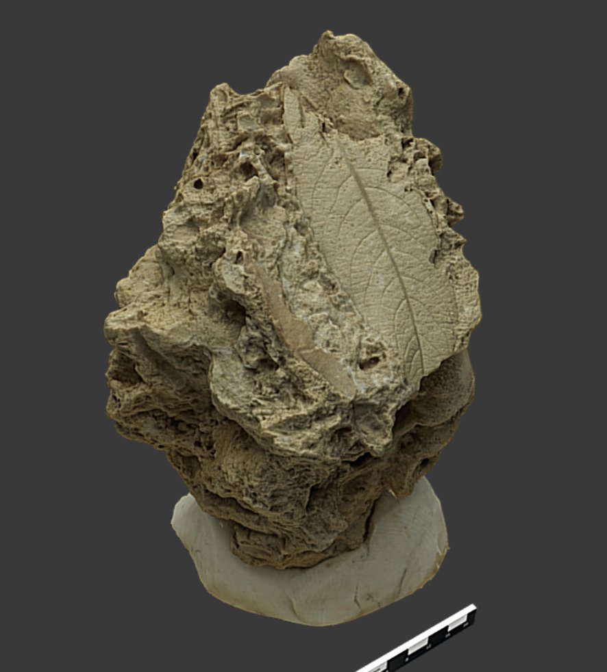 Universidad de Jaén tweet media