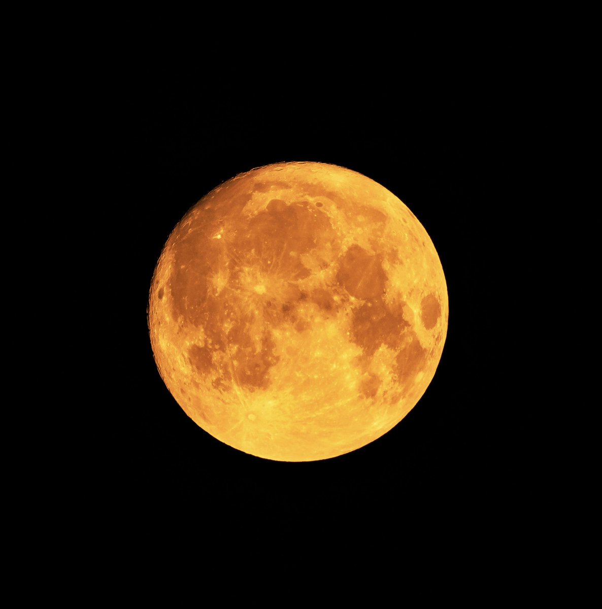 steven hogan (@steve_hogan_) on Twitter photo The Sun vs the Sturgeon Moon last night what one do you like ?
<a href="/StormHour/">#StormHour</a> #SturgMoon #sun The Sun vs the Sturgeon Moon last night what one do you like ?
<a href="/StormHour/">#StormHour</a> #SturgMoon #sun