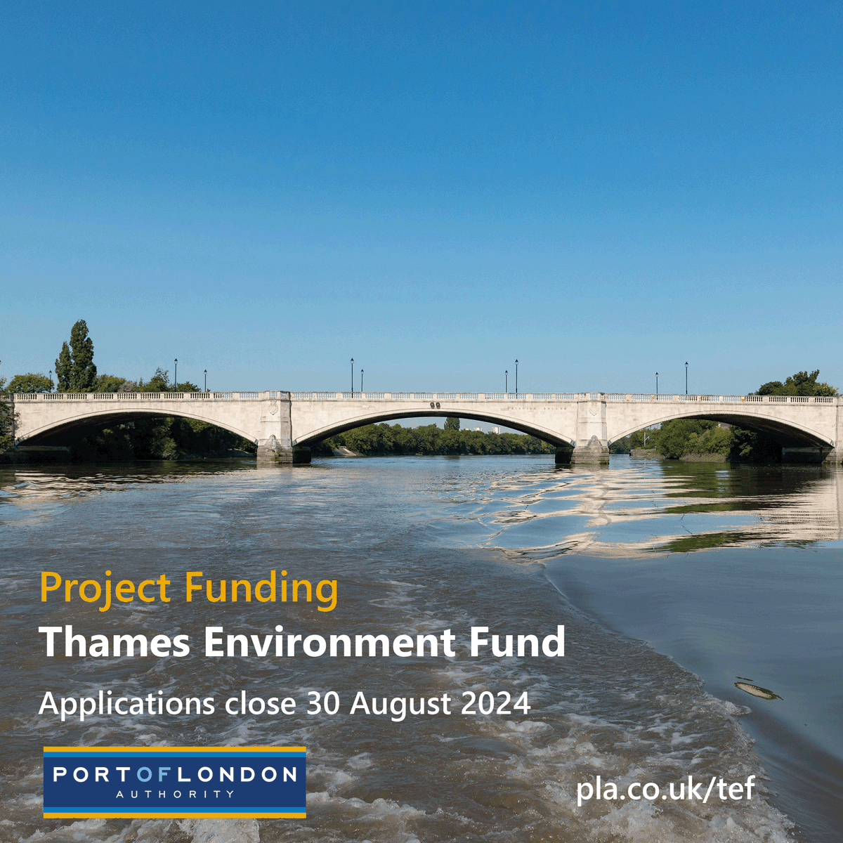 Passionate about the Thames? Turn your ideas into action! The #ThamesEnvironmentFund is now accepting applications for eco-friendly river projects. Apply by 30 August hubs.la/Q02JcnCj0  #ThamesVision2050 #NaturalThames