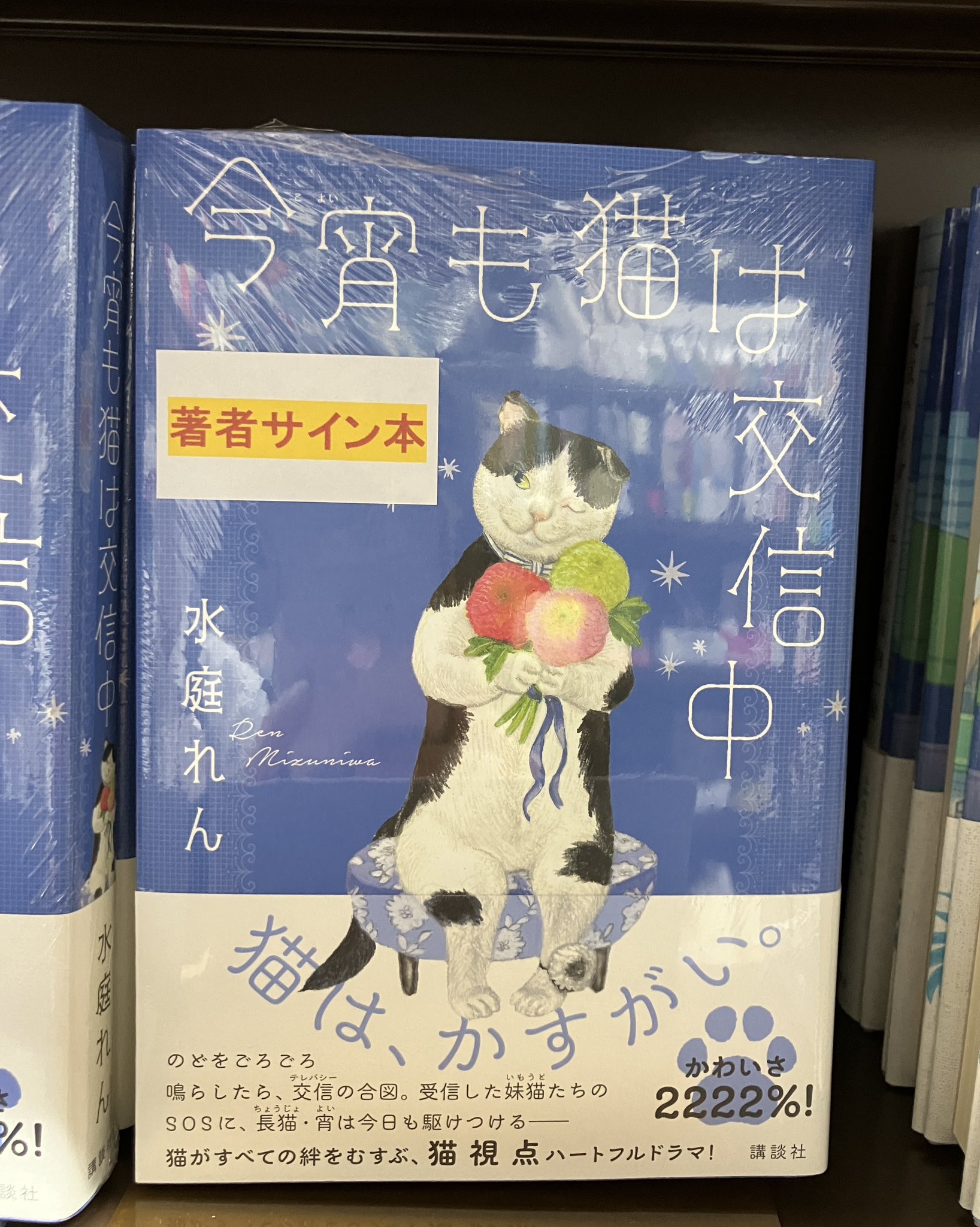 豆本 よめいり 二笑亭愚楽 出版社 コンノ書房 特装限定豆本 番号入り Amazon.co.jp: ぼくはめいたんていBセット(全6巻セット) : マ