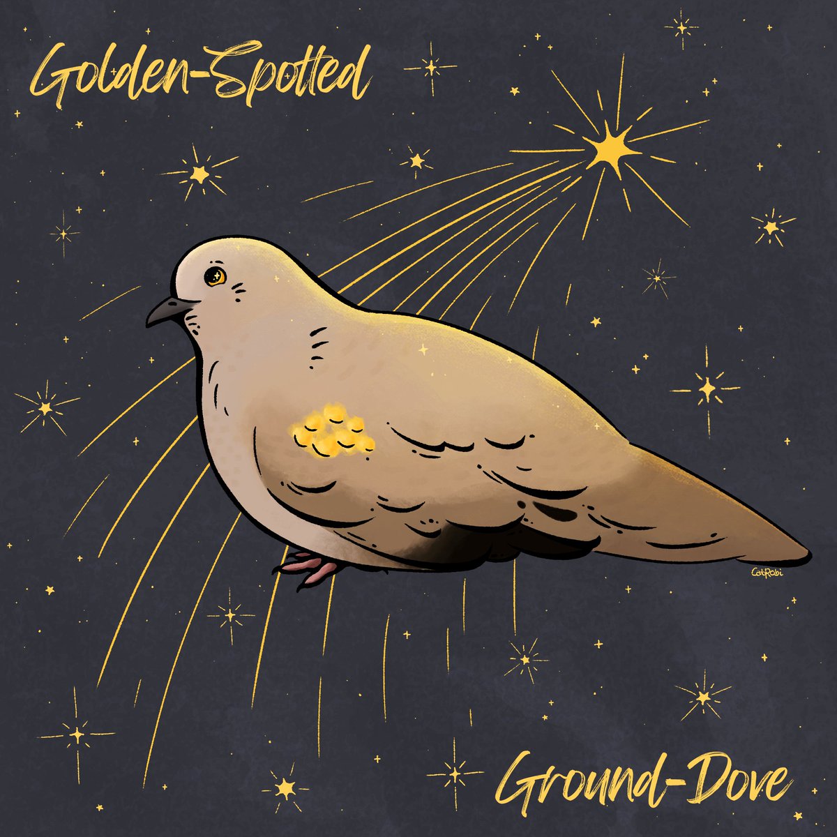 CatRobi2's tweet image. #AvianAugust2024🌟