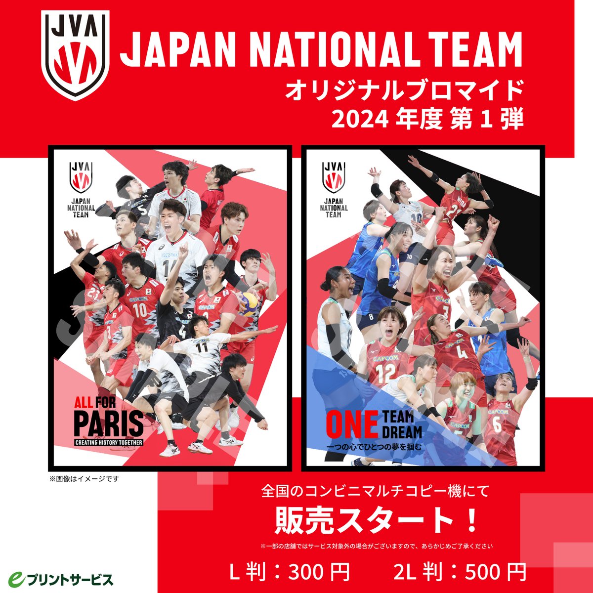 グッズ情報】 ／ 日本代表選手 オリジナルブロマイド 販売開始