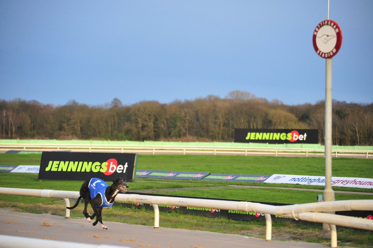 We guarantee you won't find a better bank holiday offer in Nottingham than this 👇

✅FREE admission online and on the door
✅Live racing, family fun and more

🍺 Attend any fixture this week and receive one free drink on us by using one of our tokens!

#NottinghamDogs 🐾