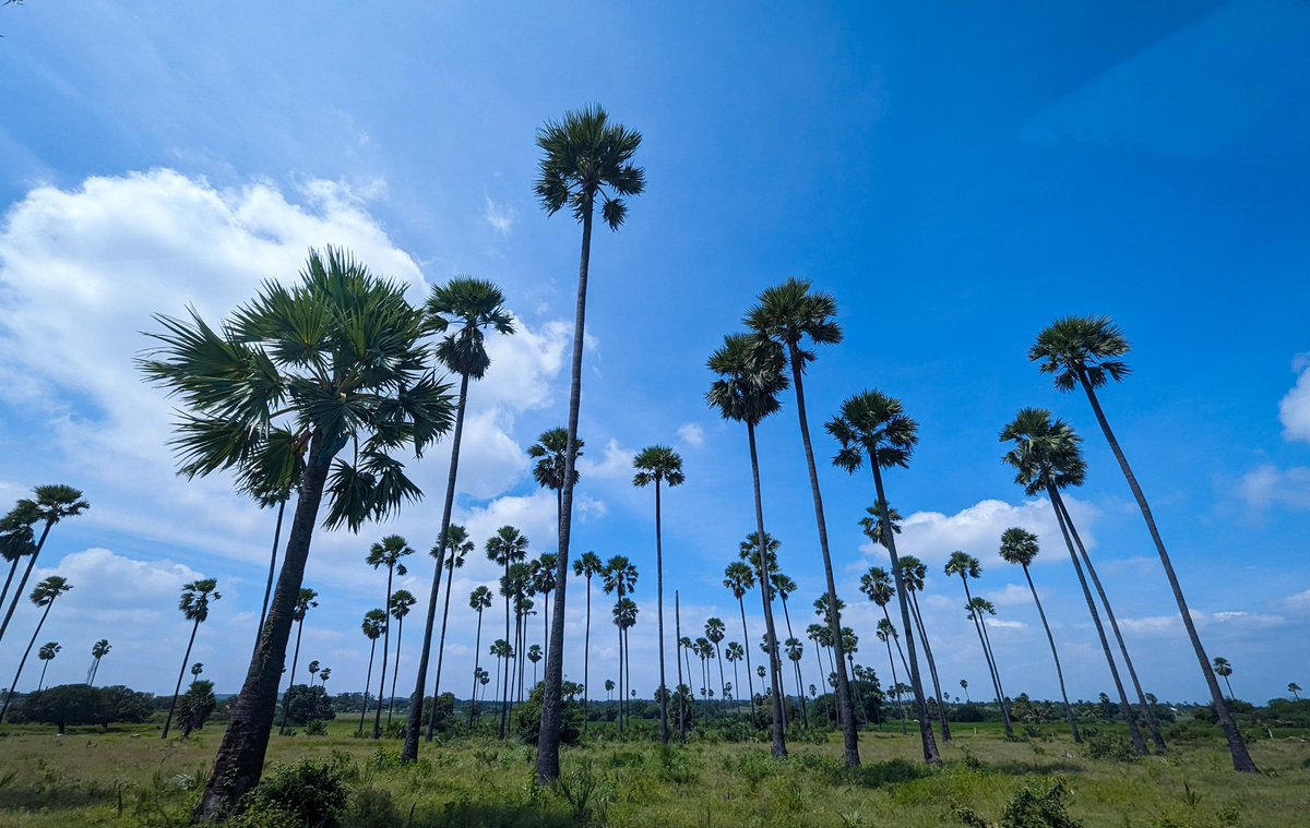 csharpian's tweet image. Shades of green and blue are always calming. 💙💚

#WorldPhotographyDay