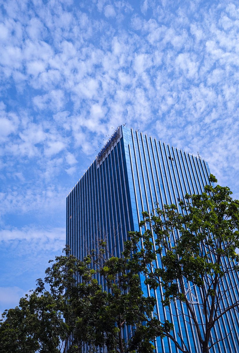 csharpian's tweet image. Shades of green and blue are always calming. 💙💚

#WorldPhotographyDay