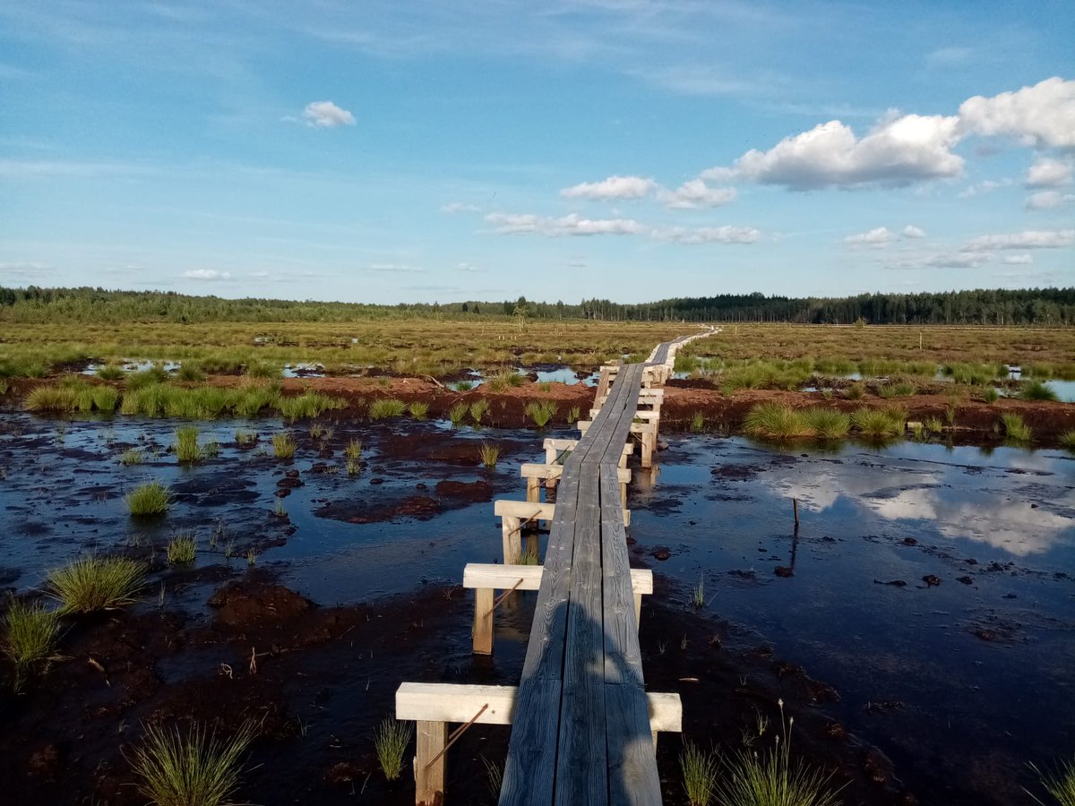 Amazing trip to Ess-soo bog, Estonia. A unique case of local opposition to peat mining, eventually leading to research, nature protection &amp; large-scale restoration. Now a <a href="/REWET_HE/">REWET_HE</a> "open lab" for restoration monitoring. Thanks to the State Forest Management Centre for hosting us!