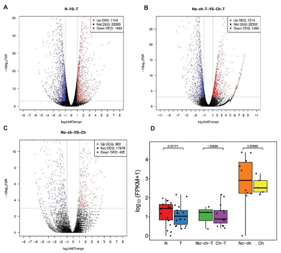 🌟New #Research: Investigating long noncoding #RNA HA117 and its possible regulatory network in #osteosarcoma 
👥By Ning Wang et al. 
Read it here #OpenAccess: doi.org/10.36922/td.36…