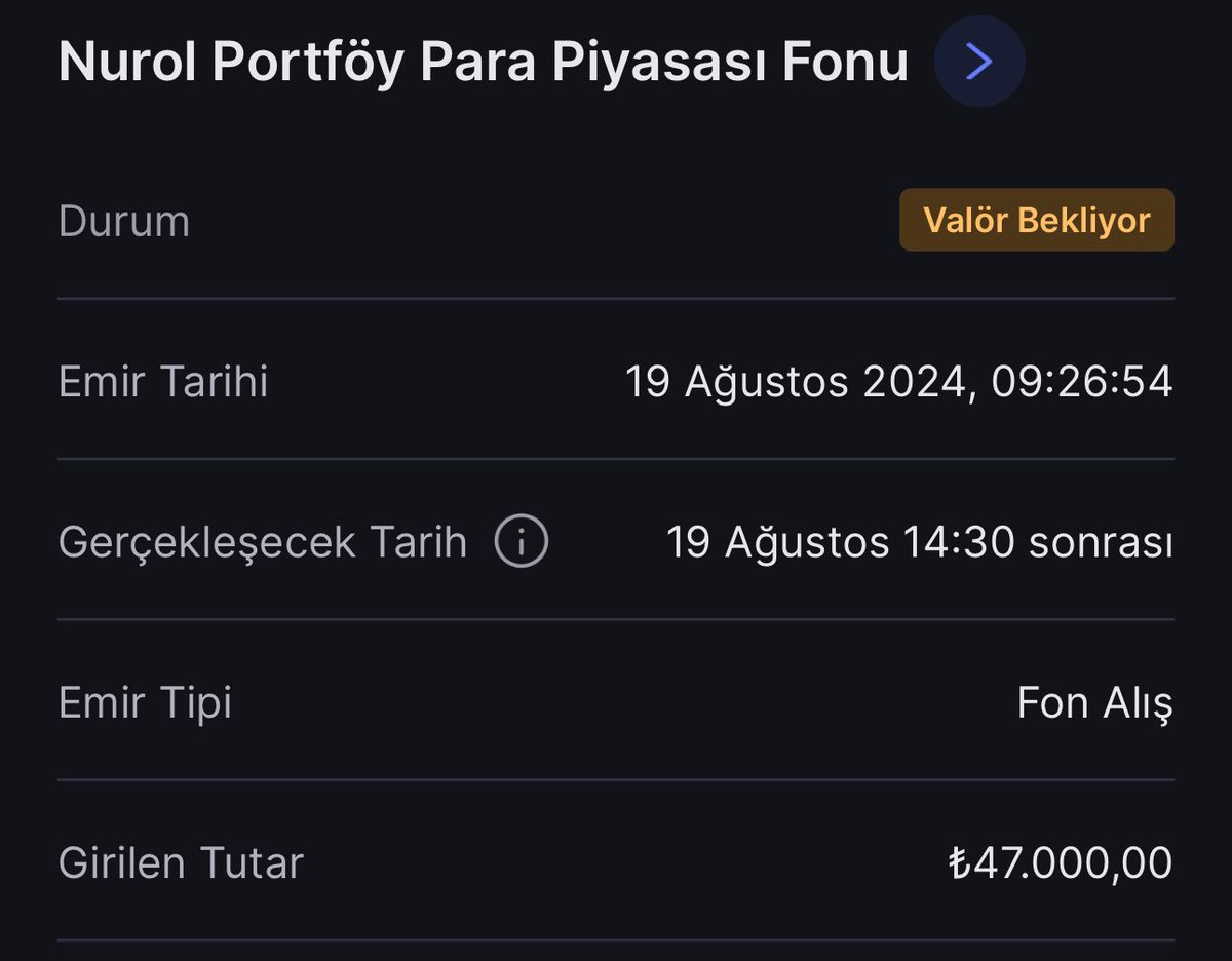 Haftaya kadar ödemem yok. Hafta sonuna kadar kalsın bakalım ne kadar getiri getirecek…