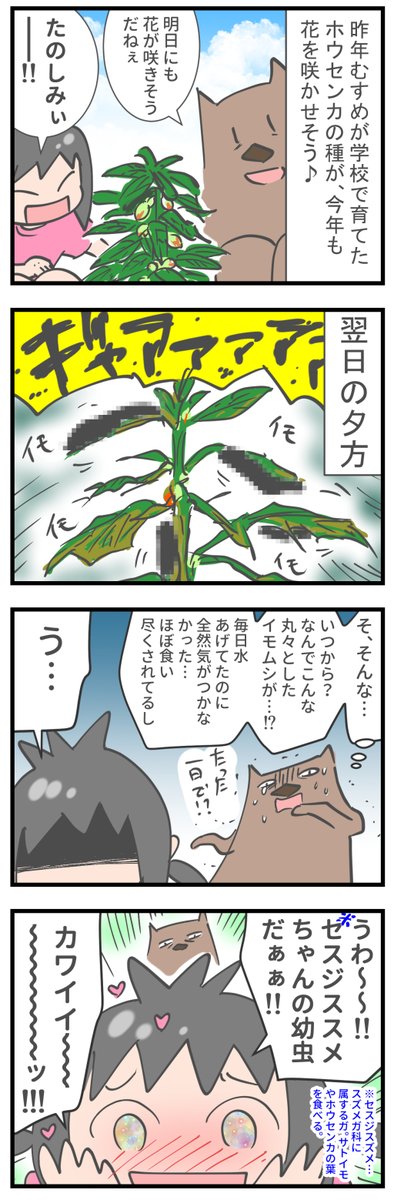 ホウセンカ育ててたつもりだったのに  #育児漫画 #むすめ雑記帳 #ホウセンカ #イモムシ イモムシ(蛾)ってすごい…(🐛苦手な方はご注意を)