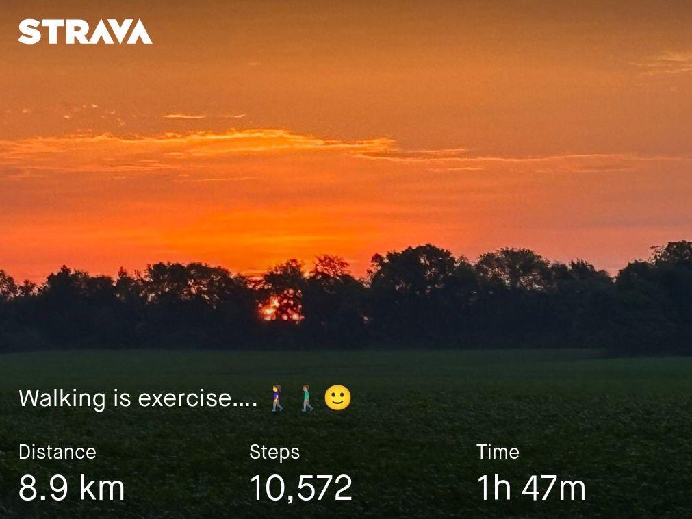 SamirMadi01's tweet photo. For my walks I will add some of the best photos from my running friends here on @X ππΌββοΈπββοΈ
π· @MelindaHoward4 - Wow that sunset π
β€οΈ
#keepmoving #SundayWalk #walking #RunnersPhotos https://t.co/gpnBOi7t26