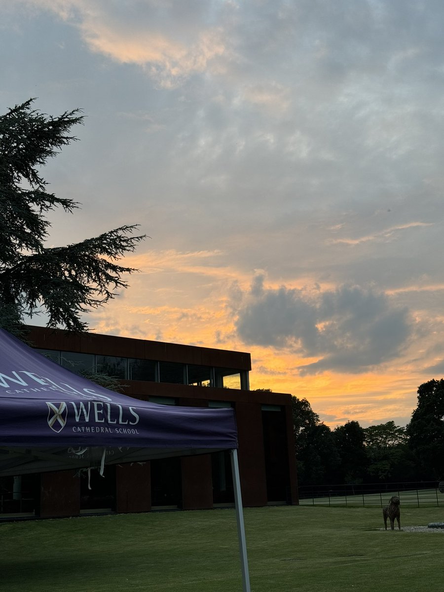 Ellie Knott tweet media