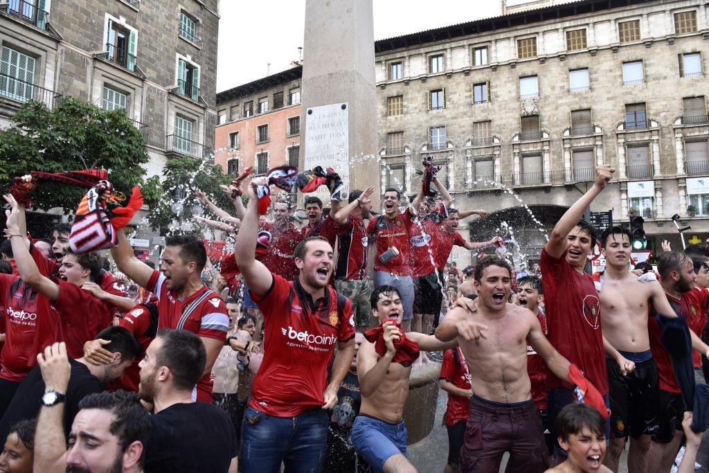 Las únicas tortugas que vale la pena ver🐢⛲️👹