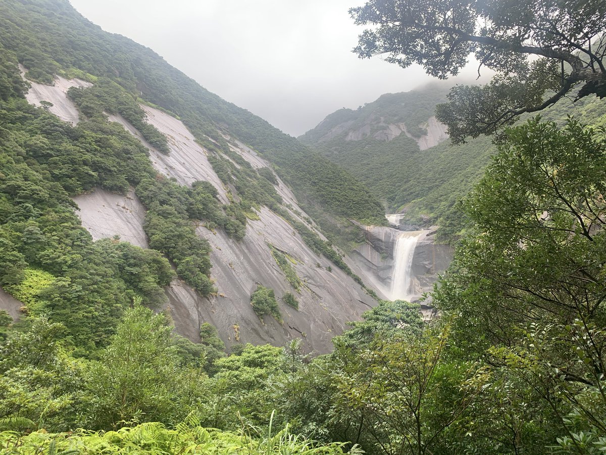 PsSeeker's tweet photo. Finally, I was able to visit Yakushima and reach Jomon Sugi, a part of the World Natural Heritage, after five hours of trekking. Truly awe-inspiring!
#屋久島 #縄文杉 https://t.co/zhfiZO0ggG