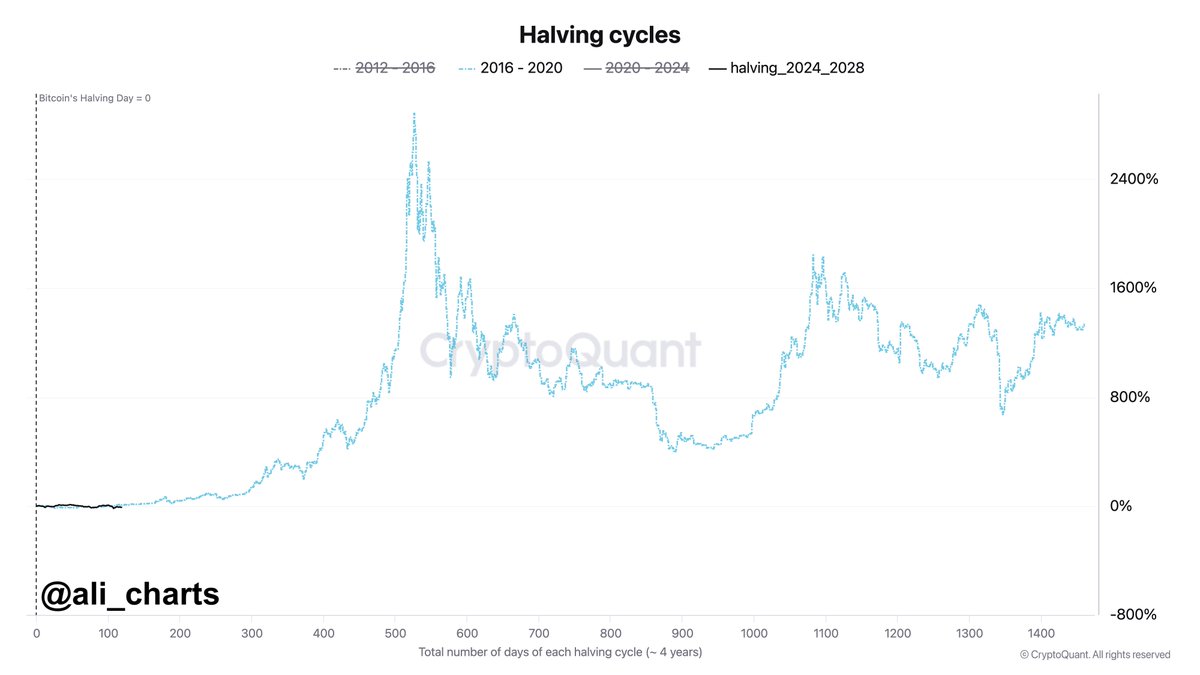 alicharts's tweet photo. It's been 119 days since the 2024 #Bitcoin halving. In the last two cycles, $BTC hit a market top around 530 days post-halving. 

If history repeats, we're still in the early stages of this cycle! https://t.co/Yxxo7DLfsg