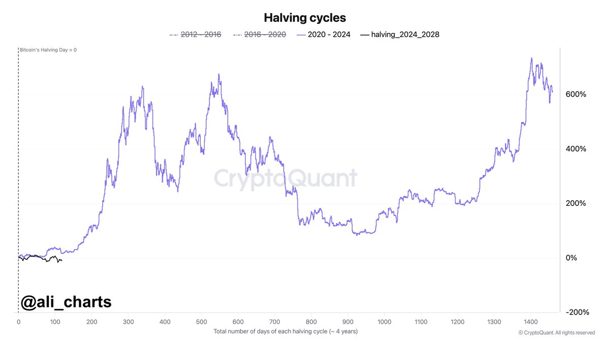 alicharts's tweet photo. It's been 119 days since the 2024 #Bitcoin halving. In the last two cycles, $BTC hit a market top around 530 days post-halving. 

If history repeats, we're still in the early stages of this cycle! https://t.co/Yxxo7DLfsg