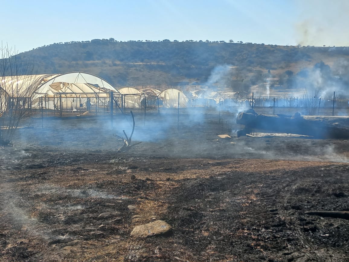 Mauwanee's tweet photo. Heartbreaking Commercial Farmer in Magalies watching as her 32 Tunnels &amp; 2.2Ha Shadenets structures burn . . . We will Rise again Robela Farms (Mama Robela &amp; Lungi) God will provide @Lesufi @VuyiswaRamokgop @OfficialGDARD @AngieKhumalo @Anele https://t.co/X5ODW0uuIJ