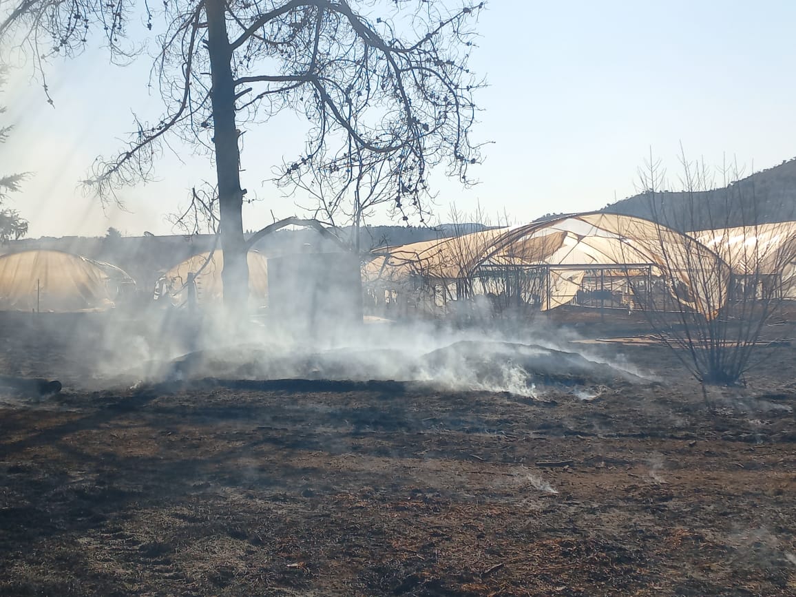 Mauwanee's tweet photo. Heartbreaking Commercial Farmer in Magalies watching as her 32 Tunnels &amp; 2.2Ha Shadenets structures burn . . . We will Rise again Robela Farms (Mama Robela &amp; Lungi) God will provide @Lesufi @VuyiswaRamokgop @OfficialGDARD @AngieKhumalo @Anele https://t.co/X5ODW0uuIJ