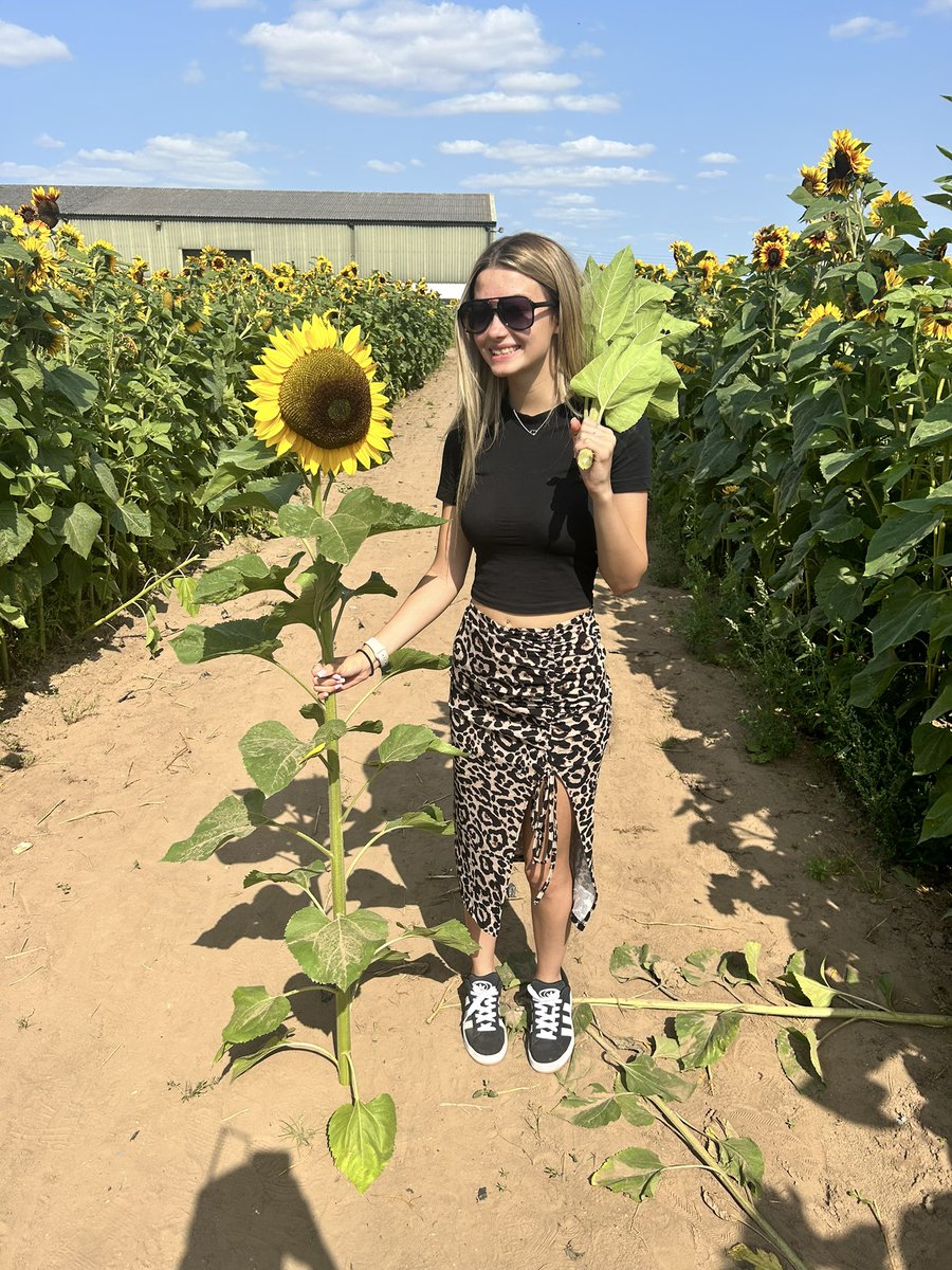 rosegardenflowers tweet media