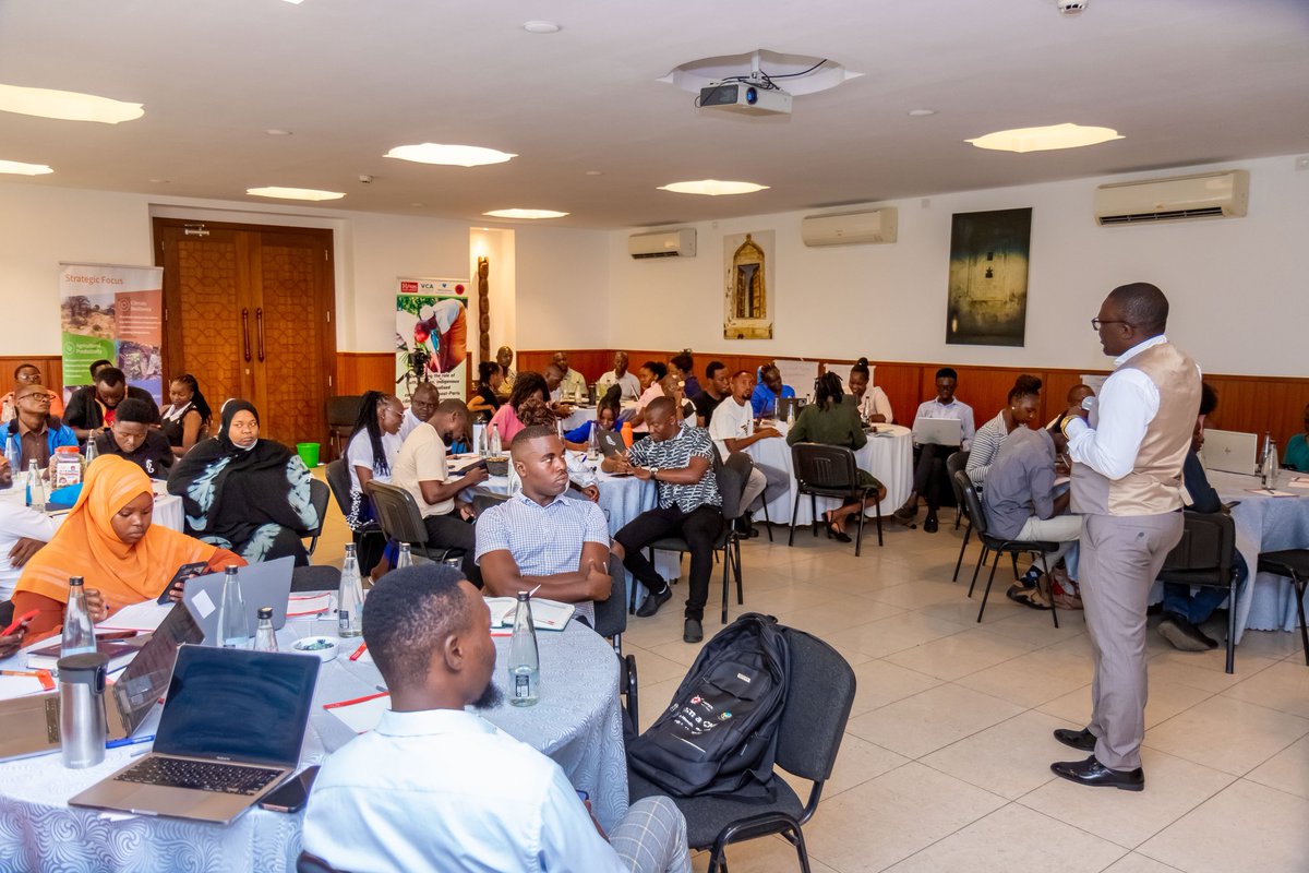 FRANK THOYA tweet media