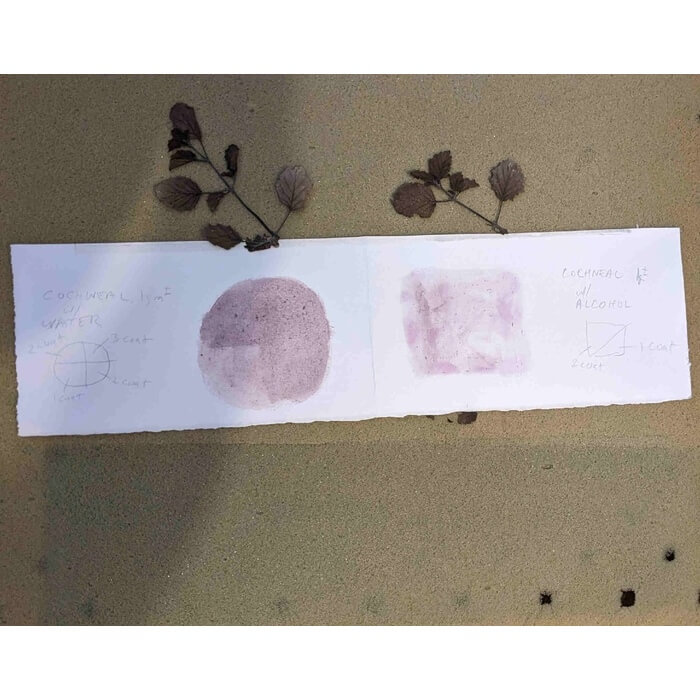 alternativephot's tweet image. We're still working through all the very very interesting #anthotypes for #WorlAnthotype Day, here are more from:

➥ Laura Gatto 
➥ Nan Wollman  
➥ Caroline Walshe, Water Dock 

Gallery:
👉 alternativephotography.com/world-anthotyp…