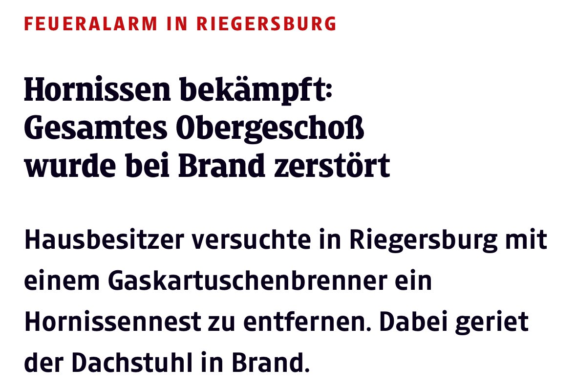 kompletter klassiker am land komplett harakiri irgendwas herumzupfuschen